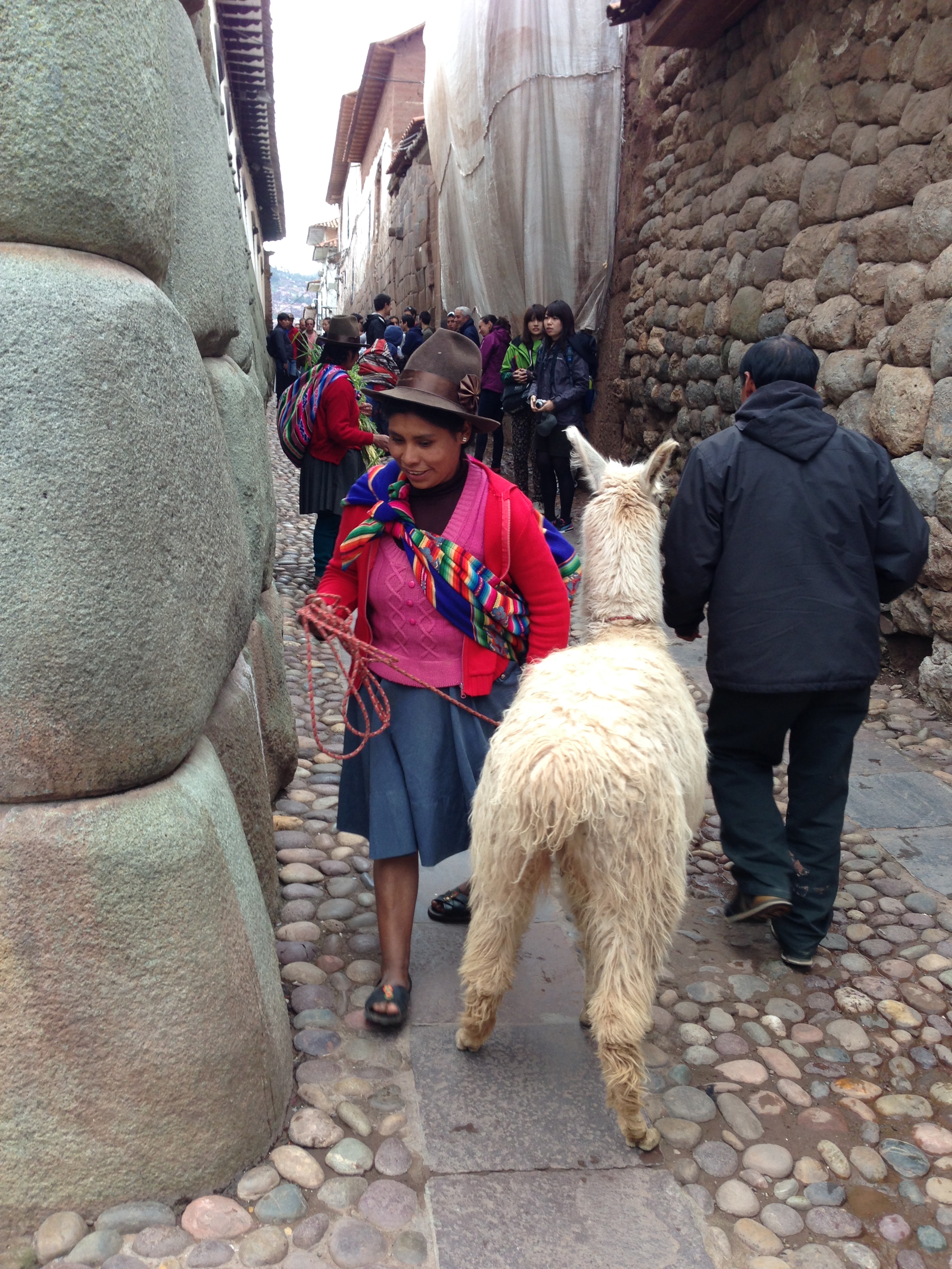Woman leading a llama down a narrow cobblestone street in Cusco